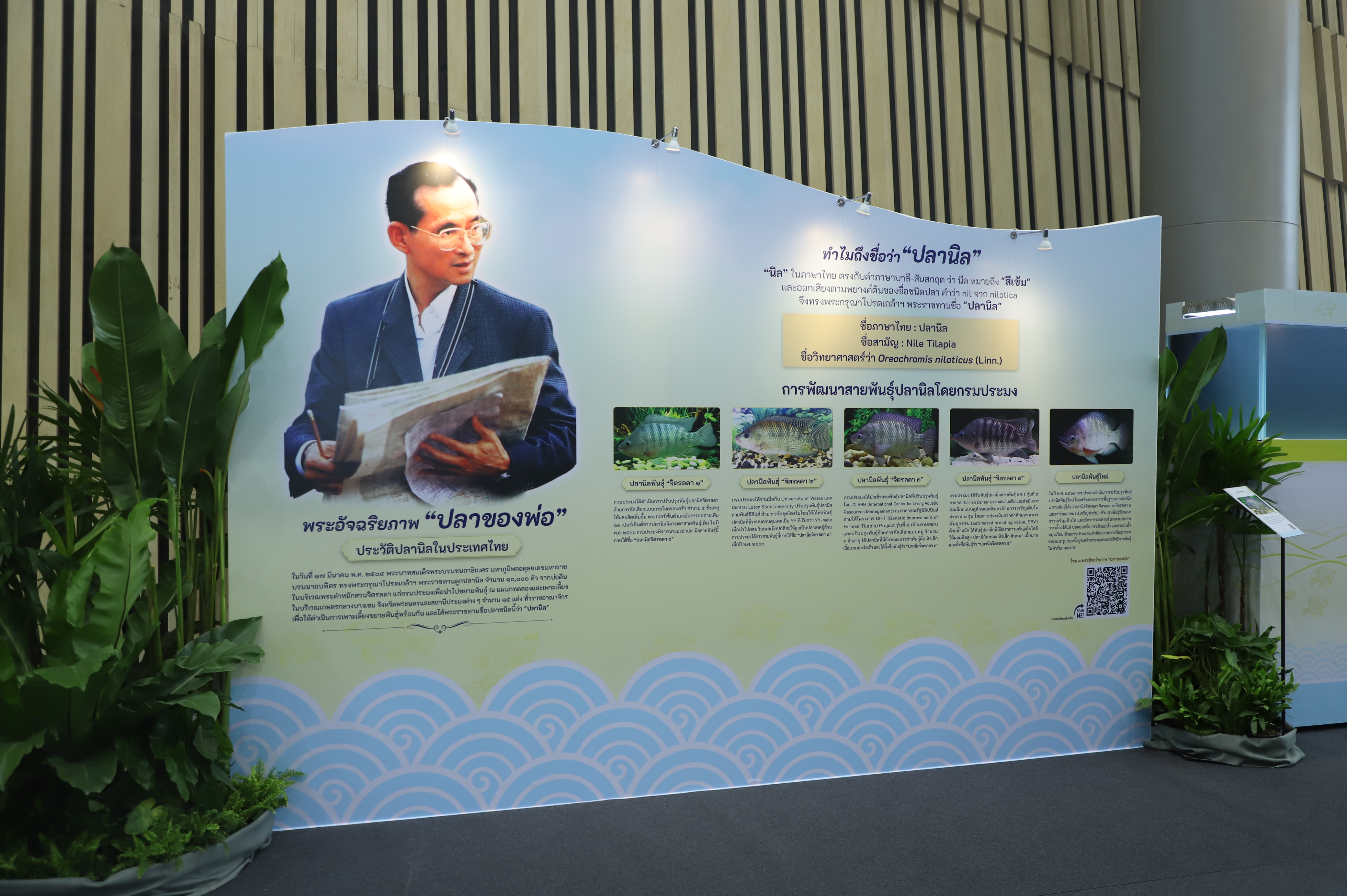 title - เลขาฯ ส.ป.ก. เฝ้ารับเสด็จ สมเด็จพระกนิษฐาธิราชเจ้า กรมสมเด็จพระเทพรัตนราชสุดาฯ สยามบรมราชกุมารี ทรงเป็นองค์ประธานเปิดงาน 60 ปี ปลานิลพระราชทาน เพื่อปวงชนชาวไทย